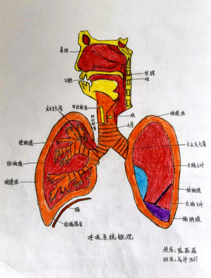 b398c861a075fde9a800f28abed2e4d - 副本.jpg b398c861a075fde9a800f28abed2e4d - 副本.jpg