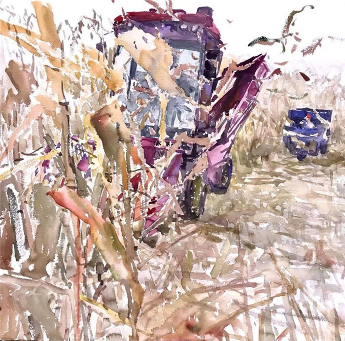 图片7.jpg 图片7.jpg