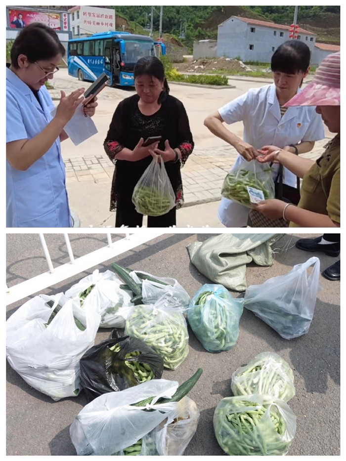 图片8.jpg 图片8.jpg