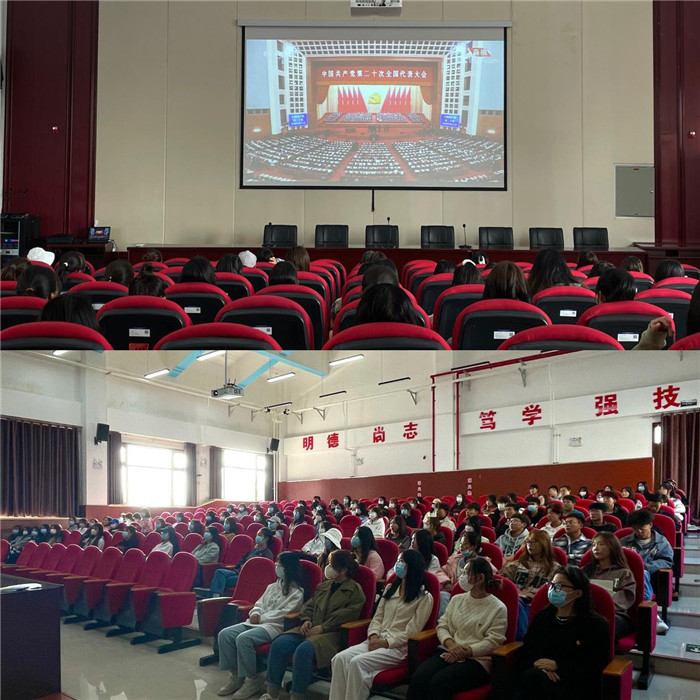 图片2.jpg 图片2.jpg