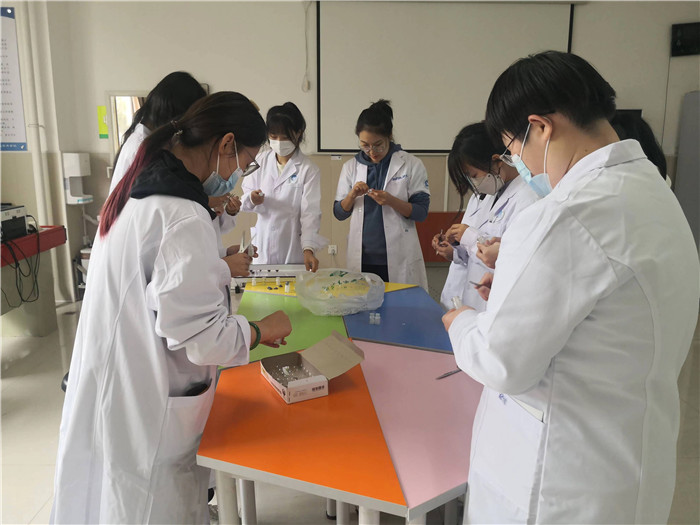 图片5.jpg 图片5.jpg