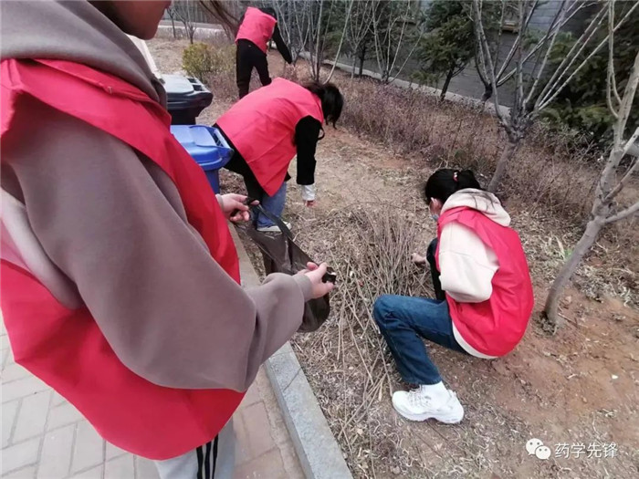 图片11.jpg 图片11.jpg
