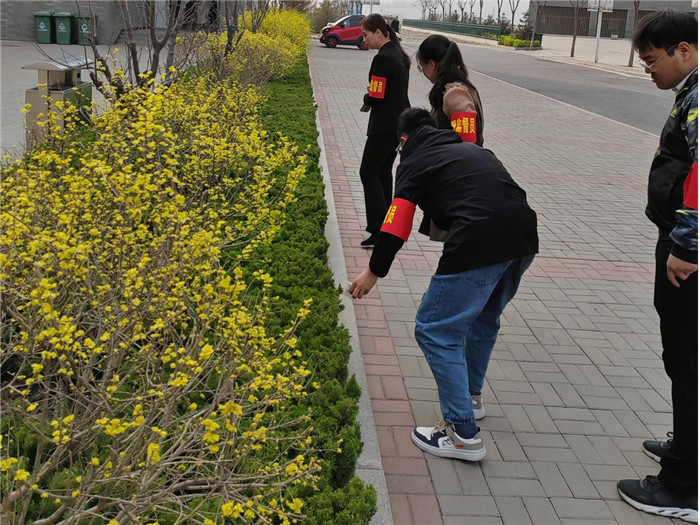 图片5.jpg 图片5.jpg