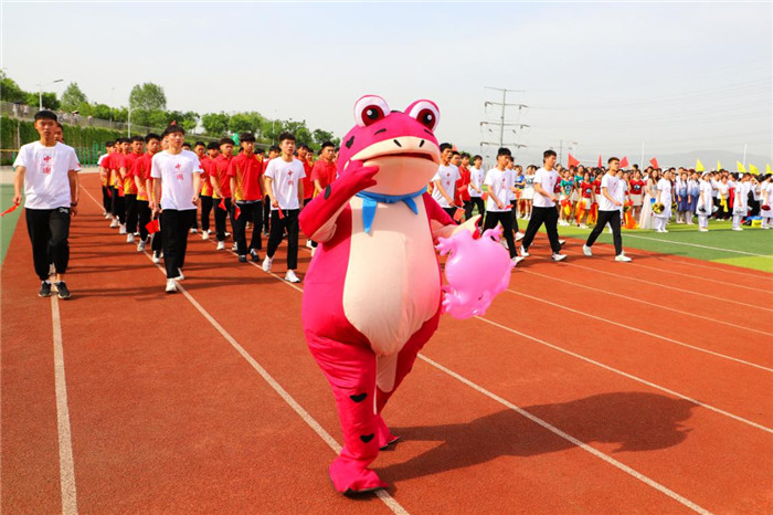 图片9.jpg 图片9.jpg