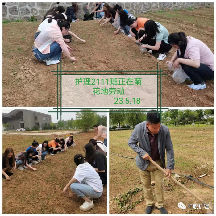 图片4.jpg 图片4.jpg