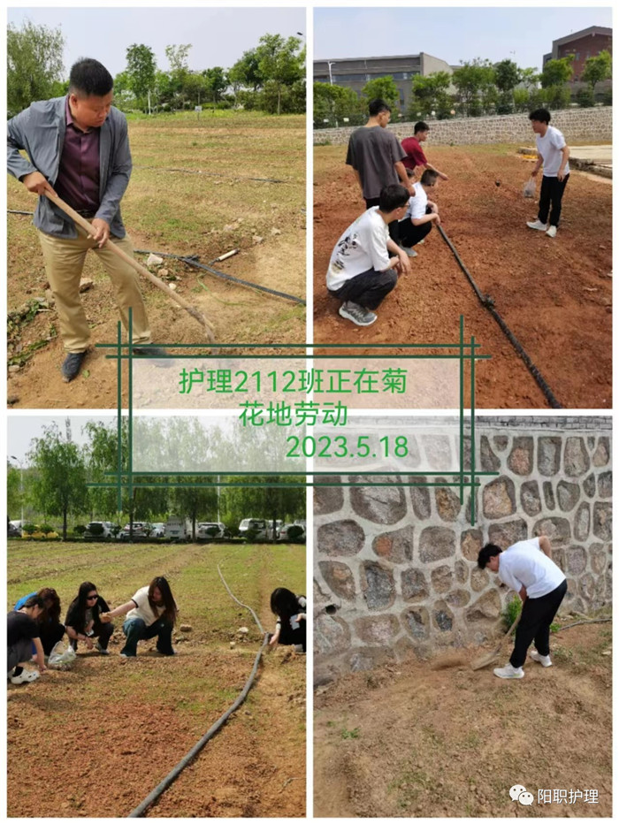 图片5.jpg 图片5.jpg