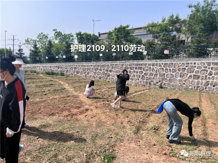 图片9.jpg 图片9.jpg