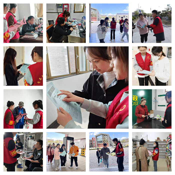 图片11.jpg 图片11.jpg