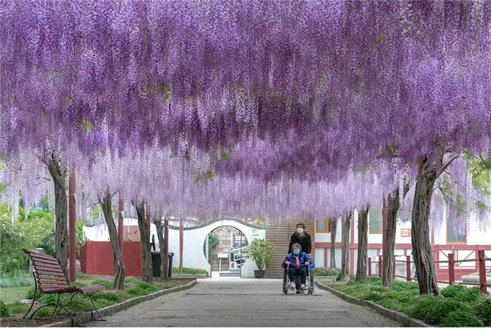 微信图片_20240319153715.jpg 微信图片_20240319153715.jpg