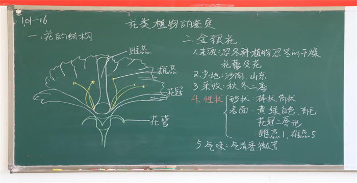 图片12.jpg