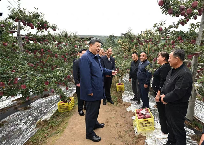 微信图片_20240914161236.jpg 微信图片_20240914161236.jpg