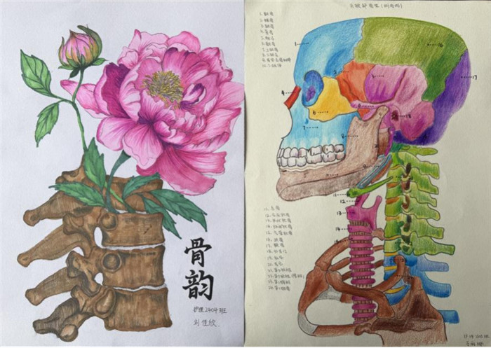 图片6.jpg 图片6.jpg